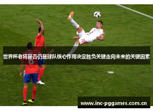 世界杯老将是否仍是球队核心作用决定胜负关键走向未来的关键因素
